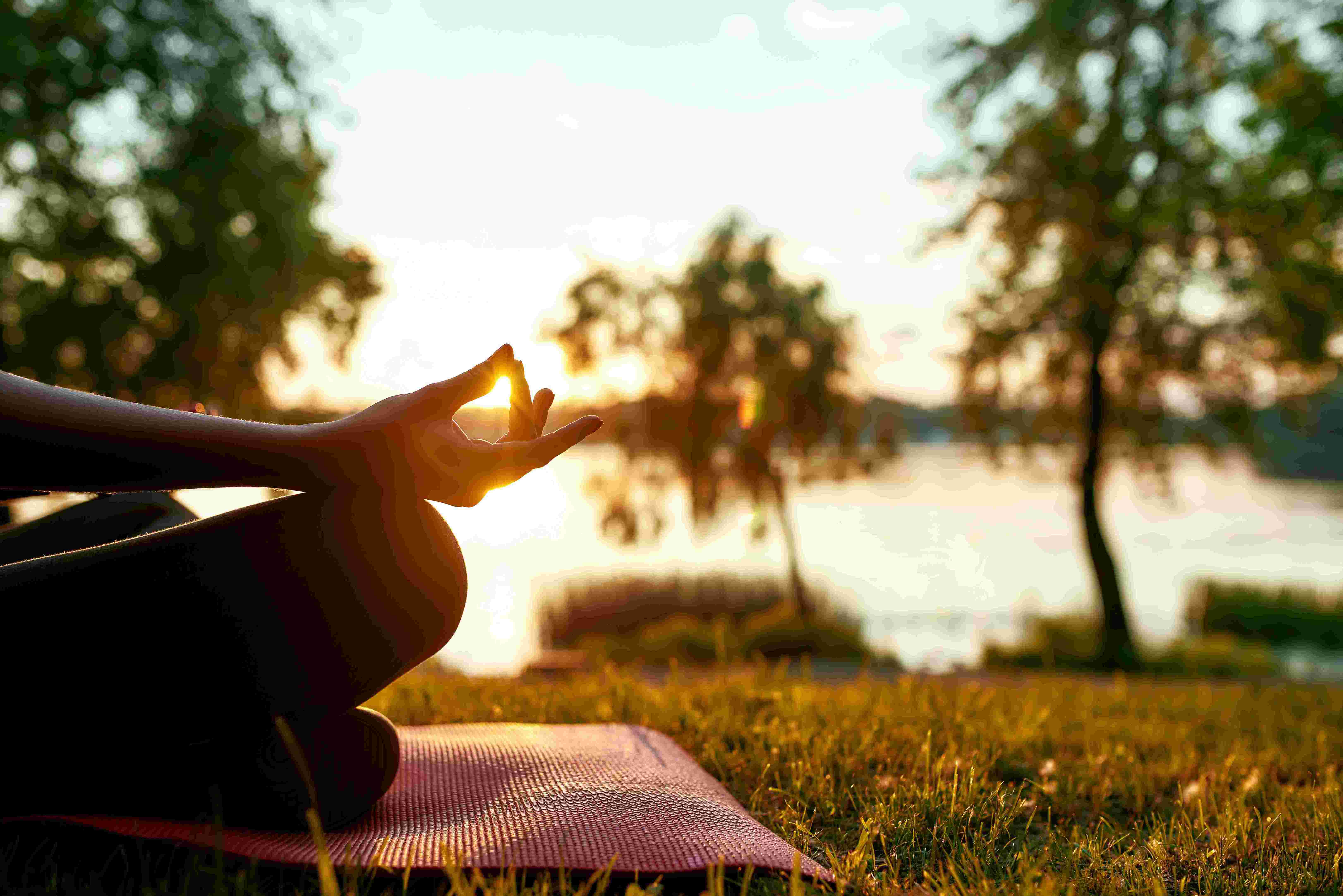 Entspannungs- & Traumreise